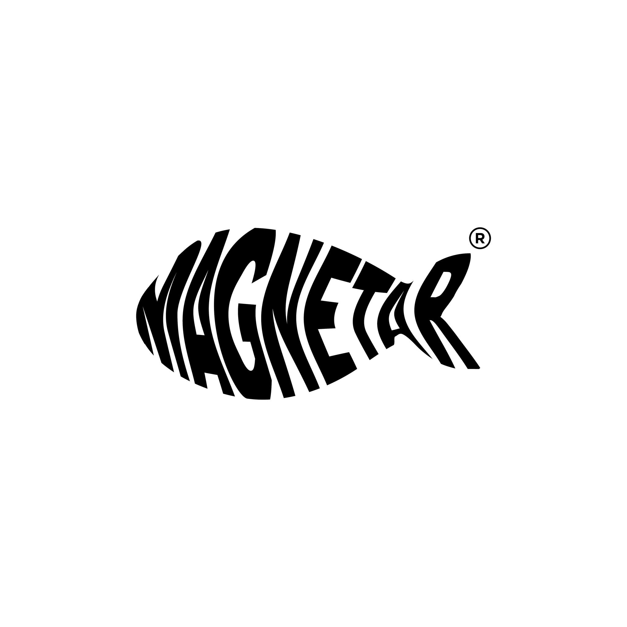 Magnetarmagnets